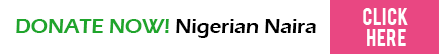 UNEOIF-NIGERIAN-DONATION-BUTTON